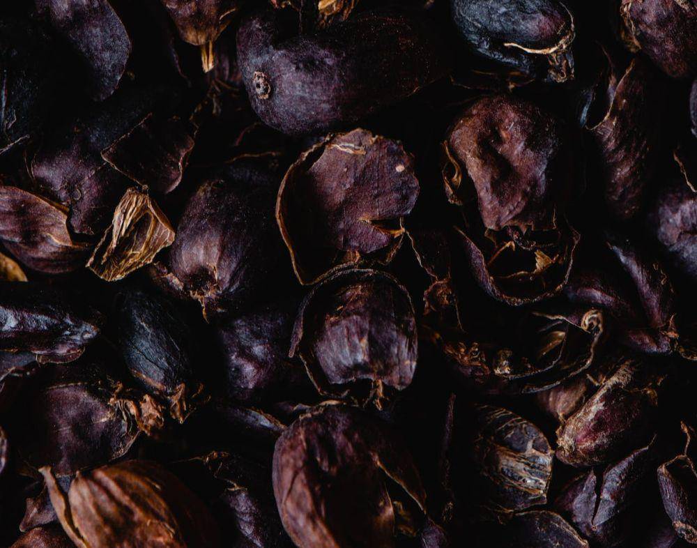 ilustrasi cascara (pexels.com/Eva Bronzini)