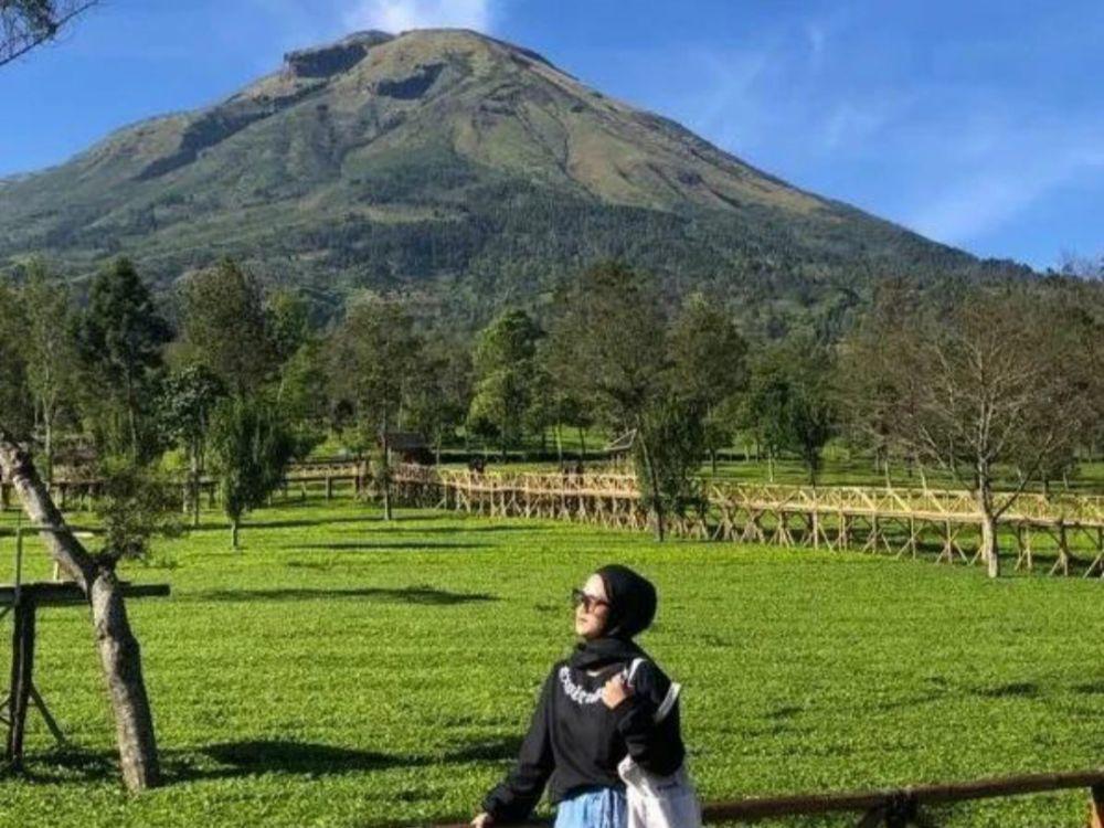 9 Info Kebun Teh Sikatok, Tempat Healing yang Instagramable