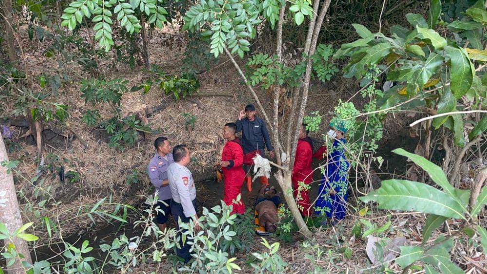 Evakuasi korban disengat kawanan lebah hutan. (Dok. BPBD Bantul)
