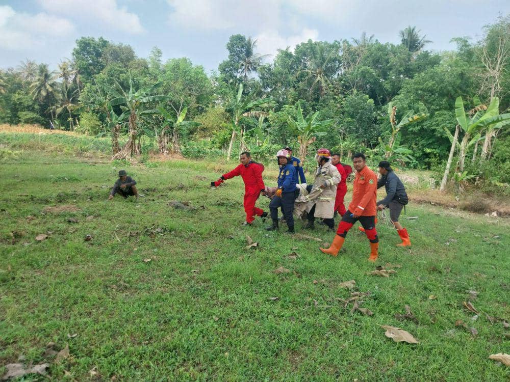 Evakuasi korban disengat kawanan lebah hutan. (Dok. BPBD Bantul)
