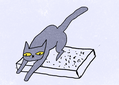 ilustrasi kucing mengubur eeknya (giphy.com/neptunyxa)