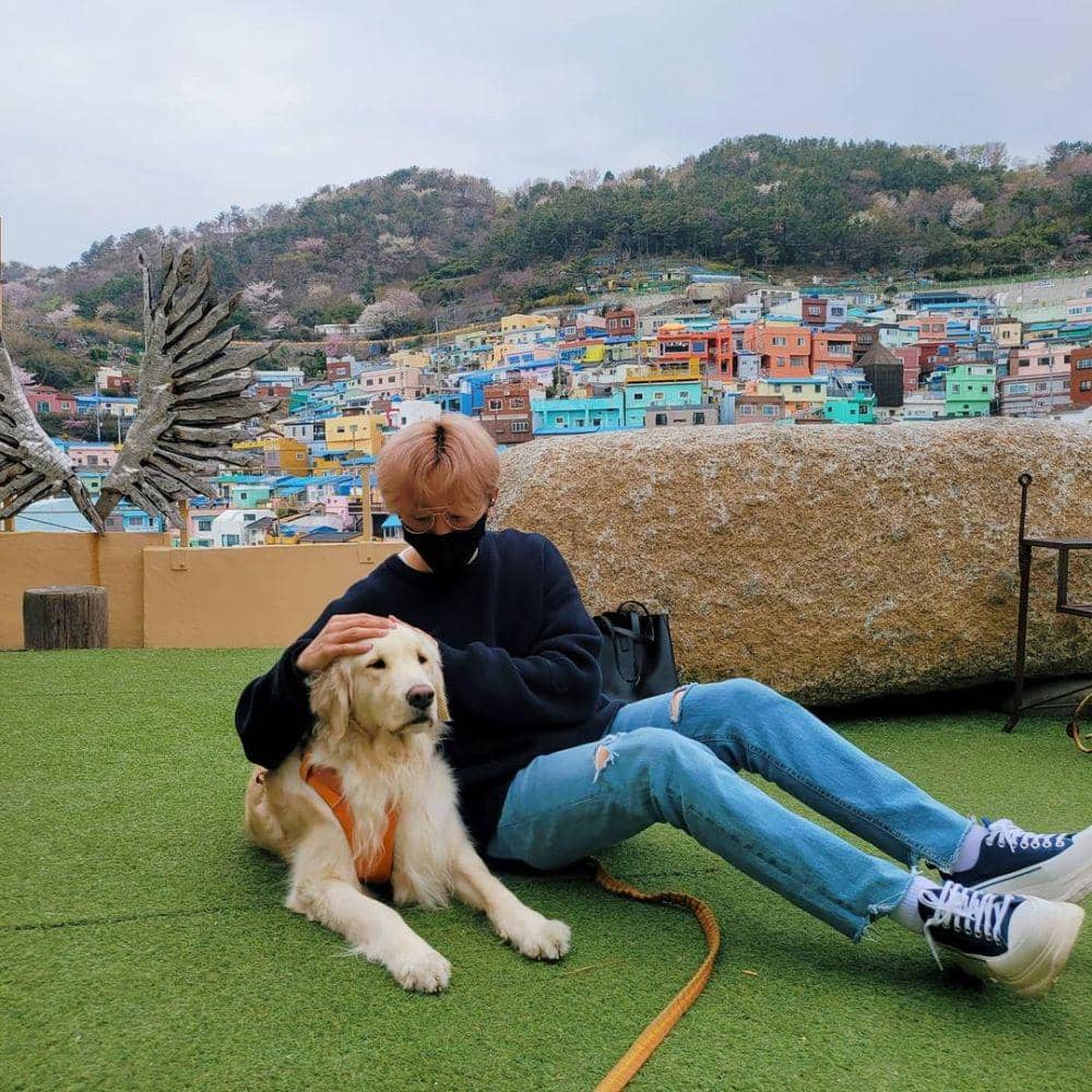 padu padan knitwear ala Seungkwan SEVENTEEN (instagram.com/pledis_boos)