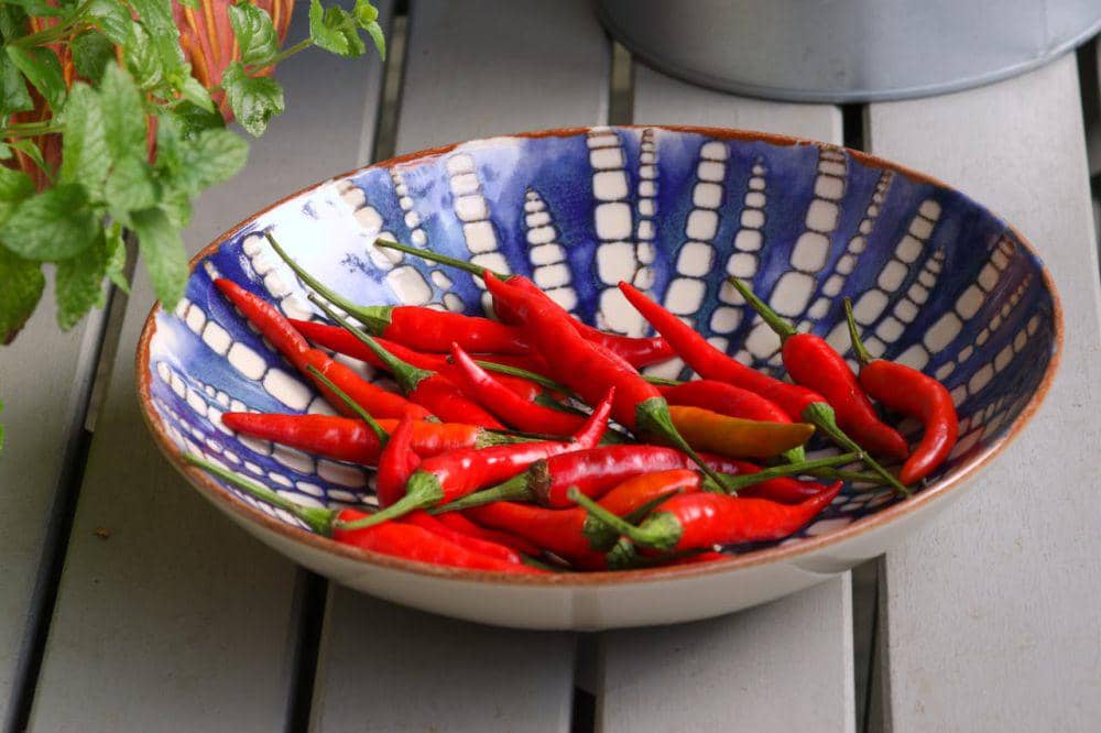 ilustrasi menyimpan cabai (pexels.com/Viktoria Bzdyk)