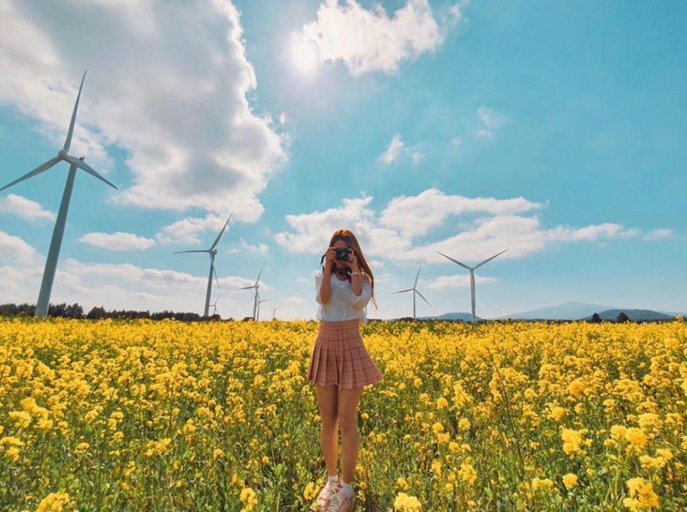 potret Jeju Island (instagram.com/jejuisland_korea)