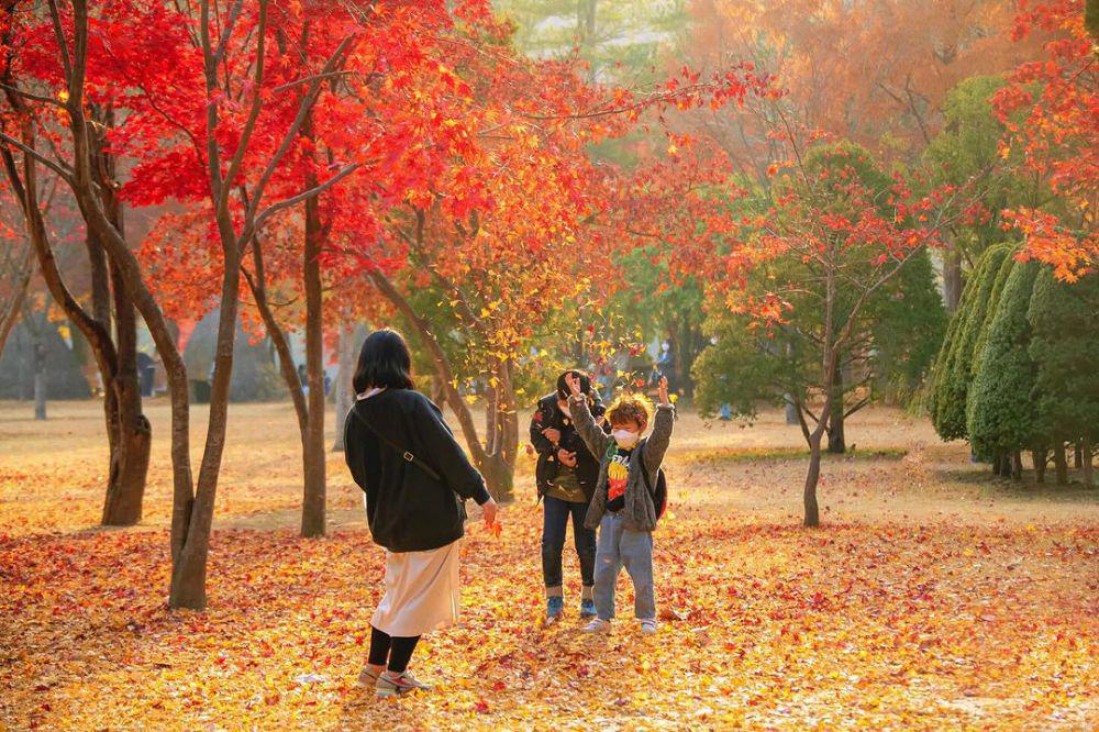 potret Nami Island (instagram.com/namiisland_naminara)