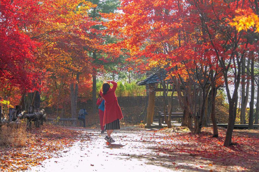 5 Tempat Wisata Musim Gugur di Korea Selatan, Indah Banget!