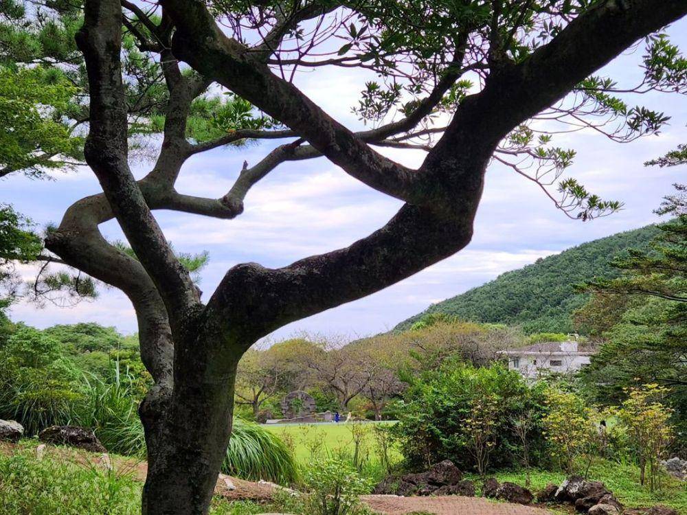 Potret Halla Arboretum (instagram.com/lazylifeinjeju)
