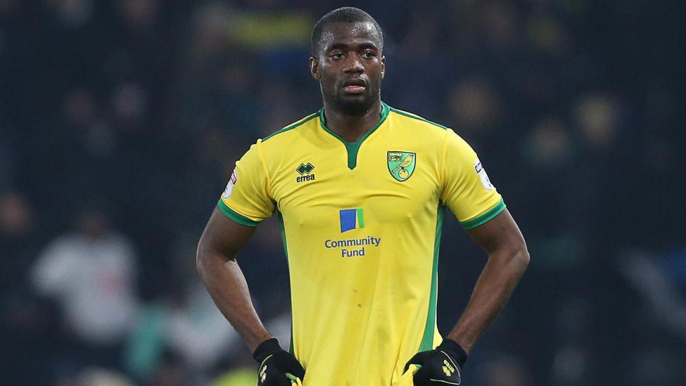 Sebastien Bassong (canaries.co.uk)