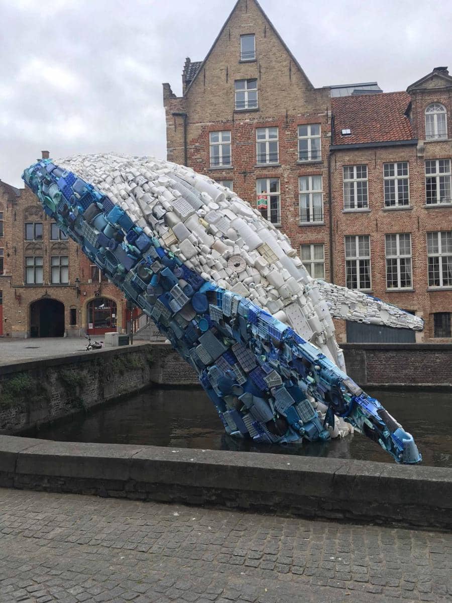 potret hal unik bertema paus (reddit.com/user/Generific)