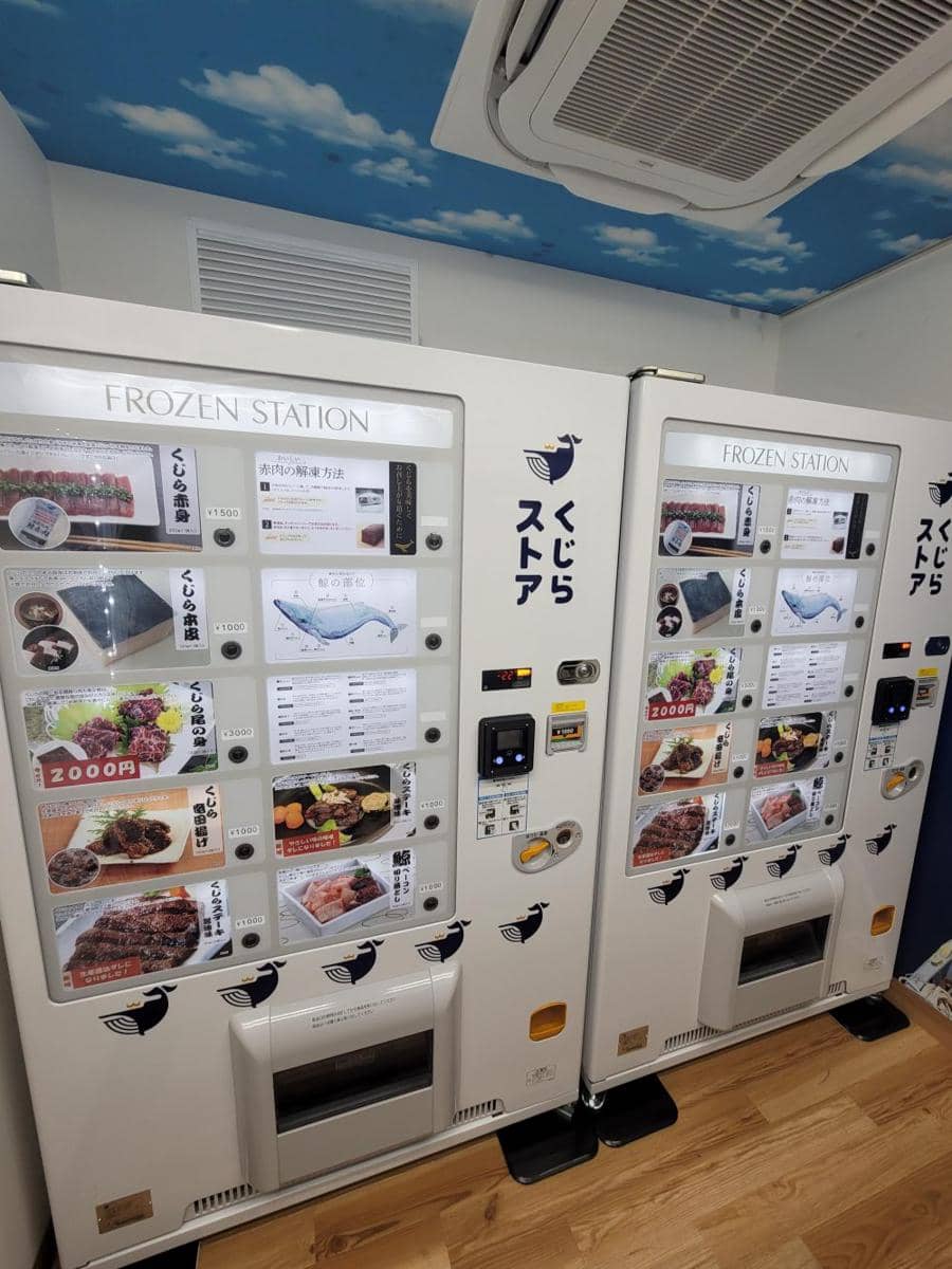 potret hal unik bertema paus (reddit.com/user/blyatbob)