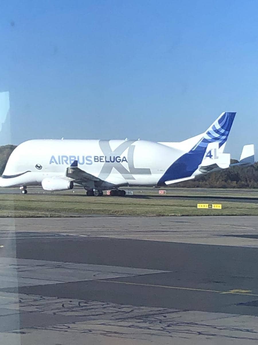 potret hal unik bertema paus (reddit.com/user/djazzie)