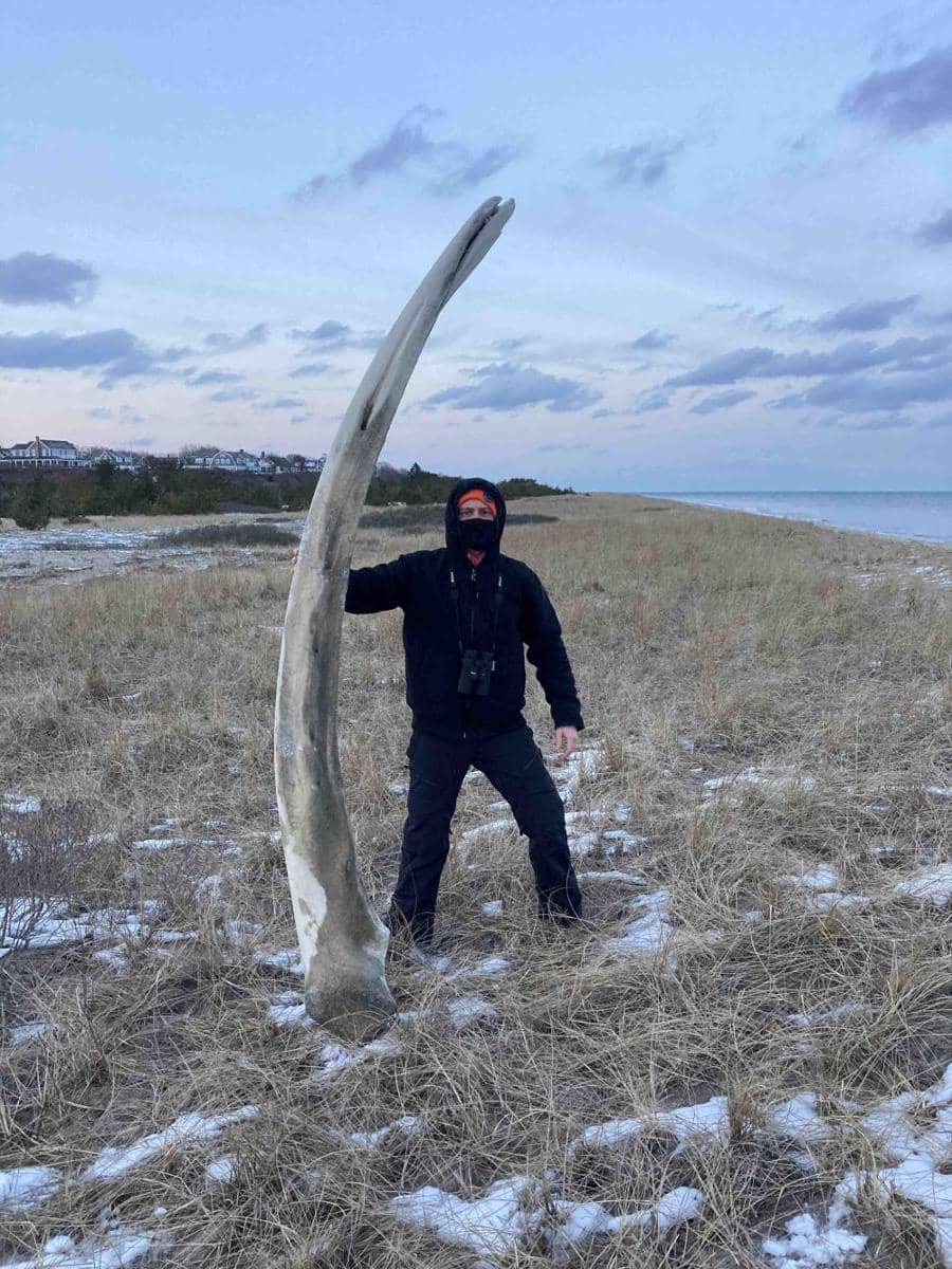 potret hal unik bertema paus (reddit.com/r/mildlyinteresting)