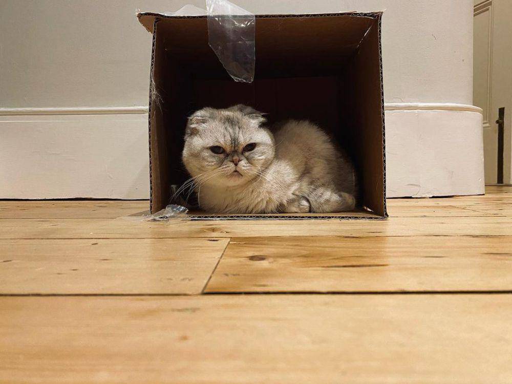 Oliver Benson (instagram.com/taylorswift)