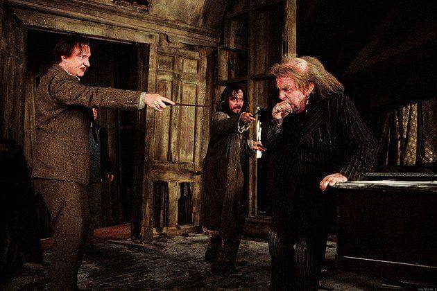 dok. Warner Bros/Harry Potter