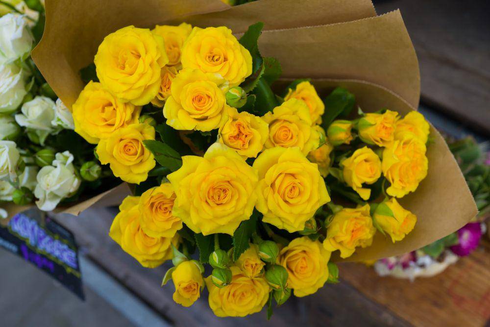 mawar kuning (unsplash.com/ Georg Eiermann)