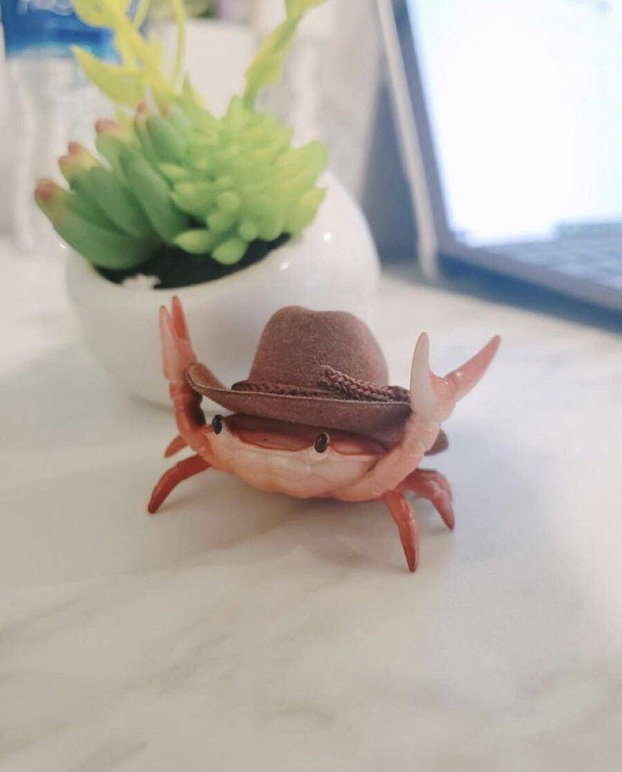 foto gemas hewan memakai topi (reddit.com/user/fujfuj)