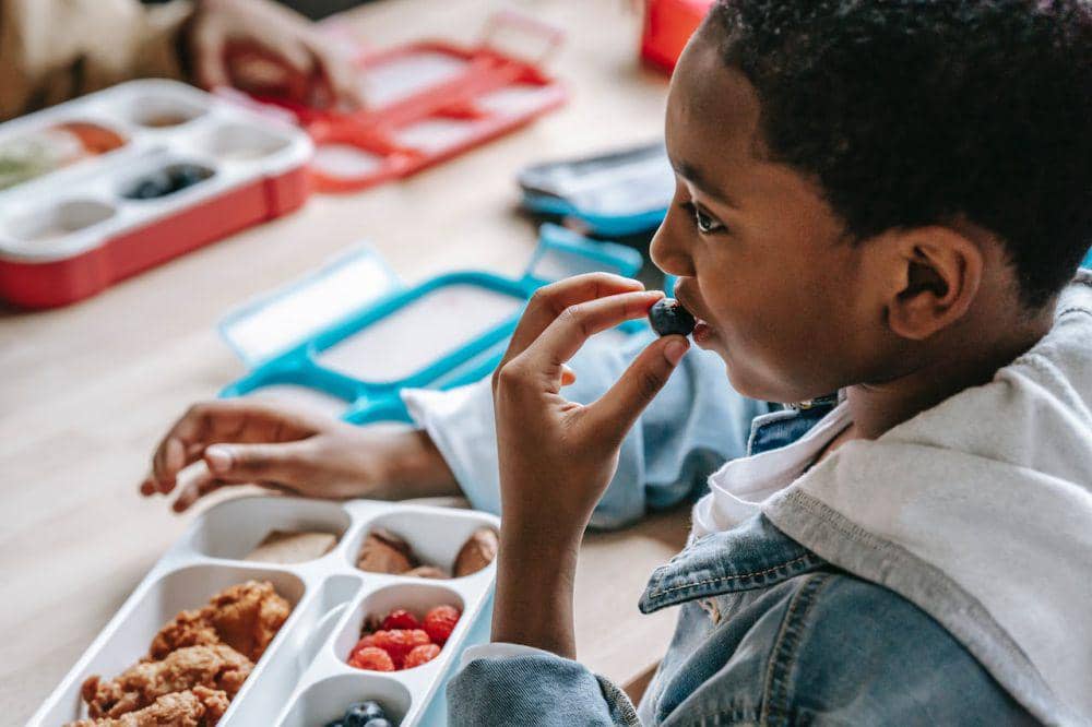 ilustrasi seorang anak yang sedang menikmati bekal makanan (pexels.com/katerina homes)