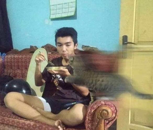 potret kocak kucing lari dengan kecepatan cahaya (instagram.com/disturbingzone)
