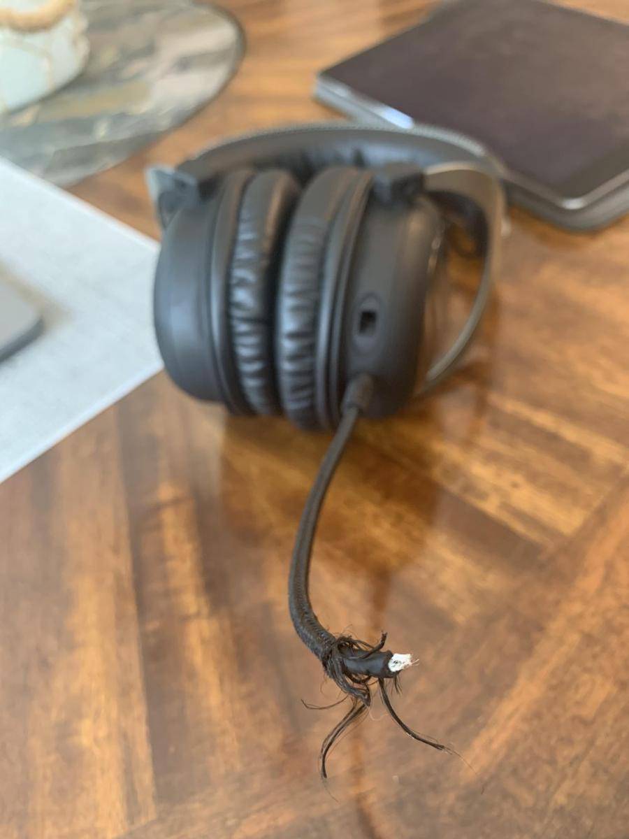 momen apes headphone rusak (reddit.com/user/GoneToGetCoffee)