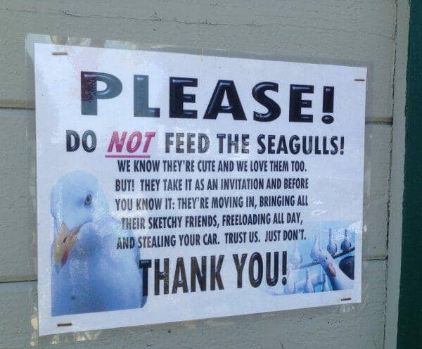 Potret lucu papan tanda hewan (reddit.com/user/PowerResponsible4462)