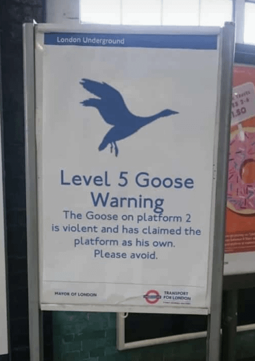 Potret lucu papan tanda hewan (reddit.com/user/tiny_yumi)