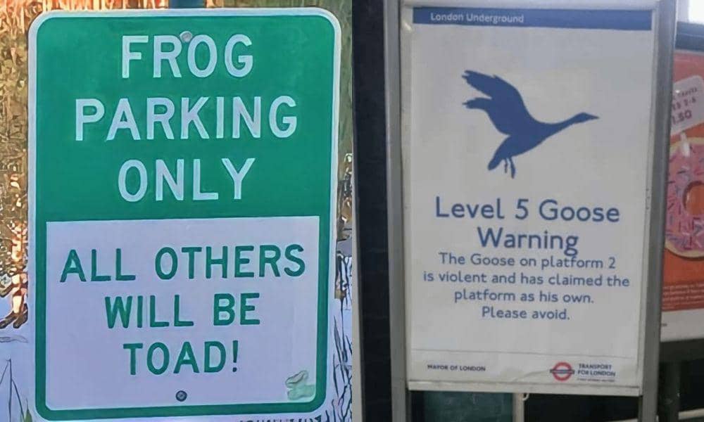 8 Potret Lucu Papan Peringatan terkait Hewan, Bikin Bengek!