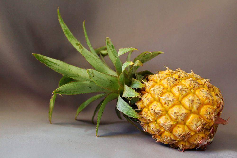 ilustrasi buah nanas segar dan matang (pixabay.com/Beesmurf)