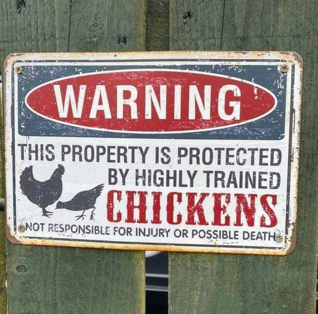 Potret lucu papan tanda hewan (reddit.com/user/Bubble_Babe_0o0o0o)