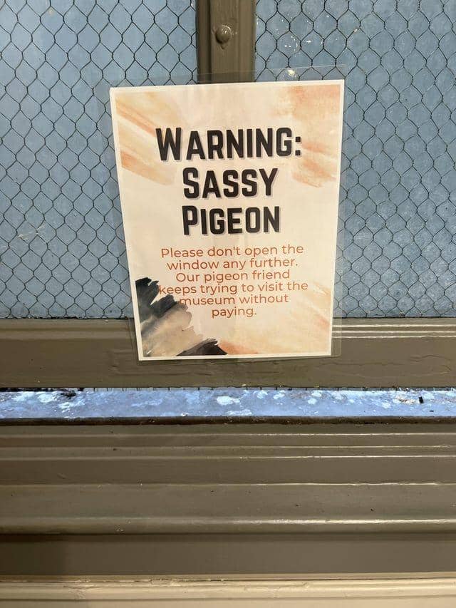 Potret lucu papan tanda hewan (reddit.com/user/Splatycus)