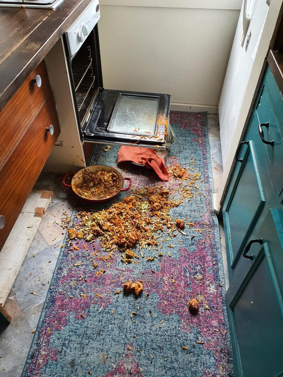 momen apes makanan dan minuman tumpah di karpet (reddit.com/user/DVS_Nature)
