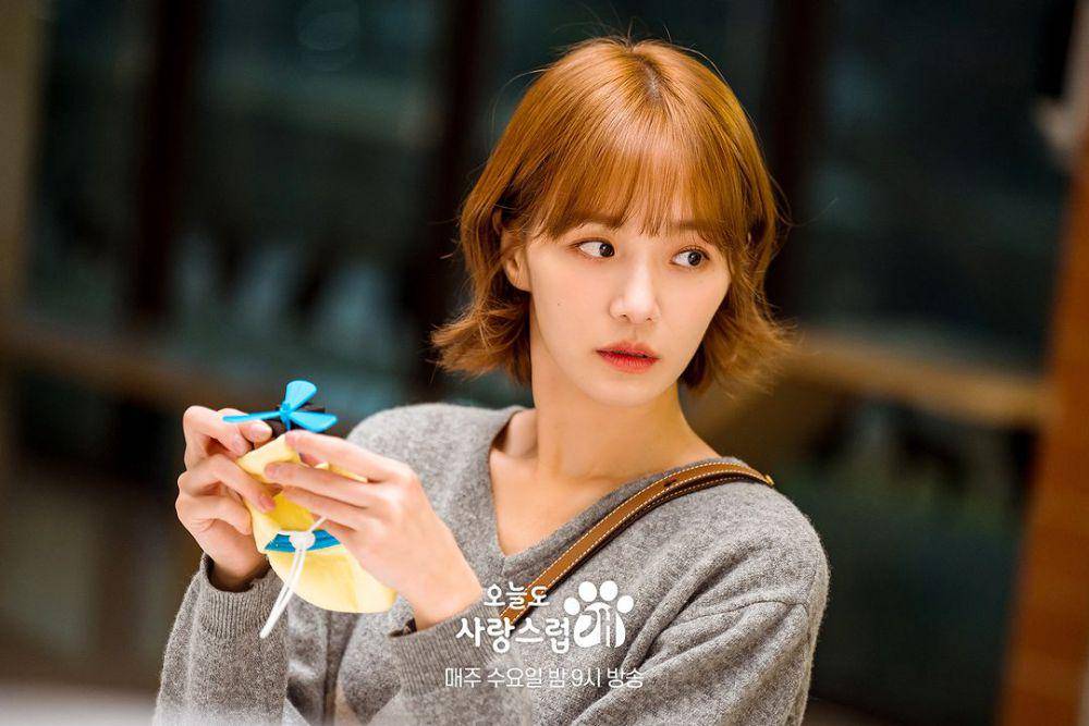 Still cut drama A Good Day to be a Dog (instagram.com/mbcdrama_now)