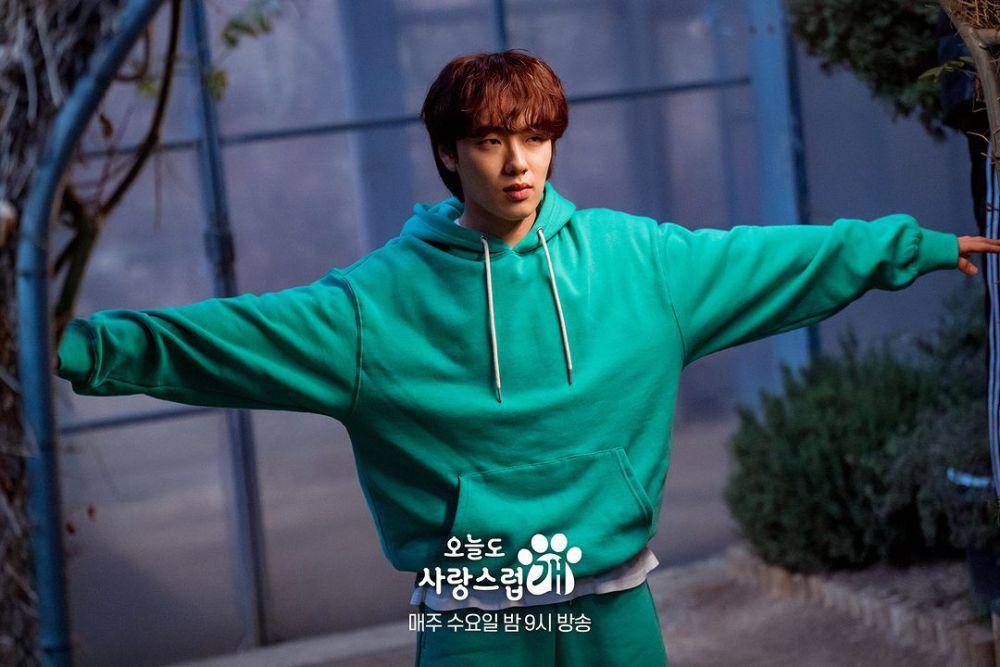 Still cut drama A Good Day to be a Dog (instagram.com/mbcdrama_now)
