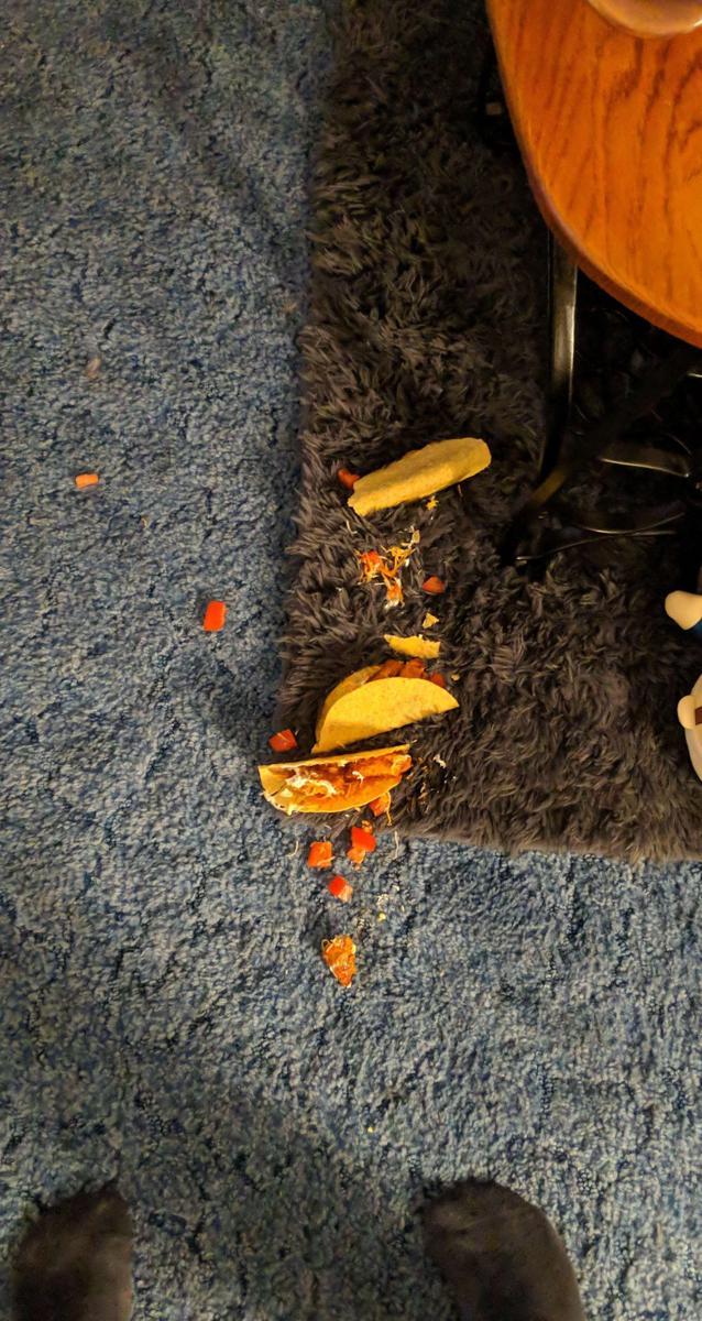 momen apes makanan dan minuman tumpah di karpet (reddit.com/user/Mass_occur)