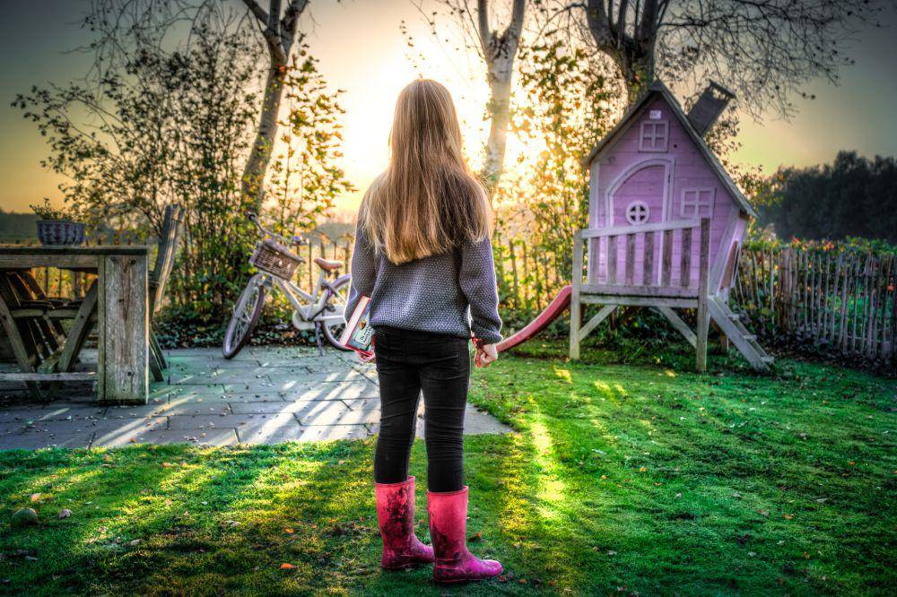 ilustrasi mengamati lahan kebun (pixabay.com/Skitterphoto)