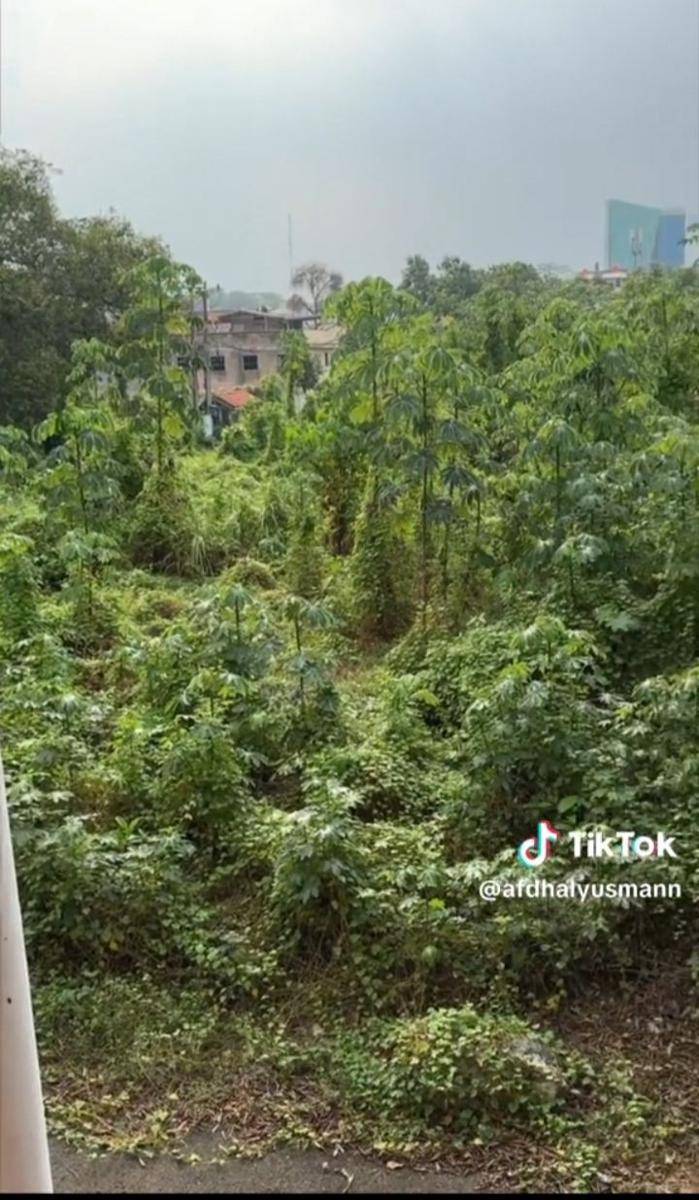 Kondisi rumah genta buana (Tiktok.com/afdhalyusman)