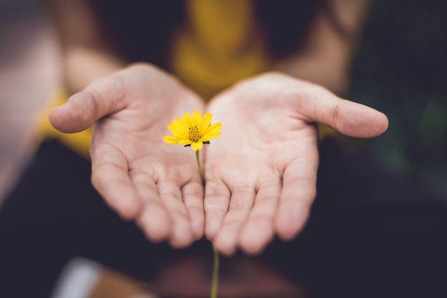 ilustrasi mengenal diri (unsplash/Lina Trochez)