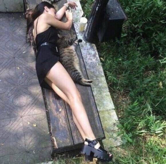 potret gaya kucing saat tidur bareng hooman (instagram.com/disturbingzone)