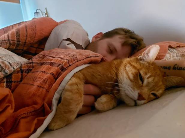 potret gaya kucing saat tidur bareng hooman (reddit.com/futile_irrelevant)