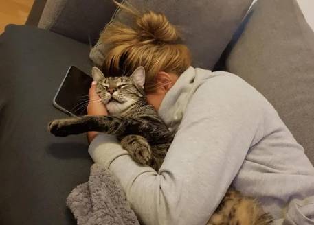 potret gaya kucing saat tidur bareng hooman (reddit.com/Balkanbeat)