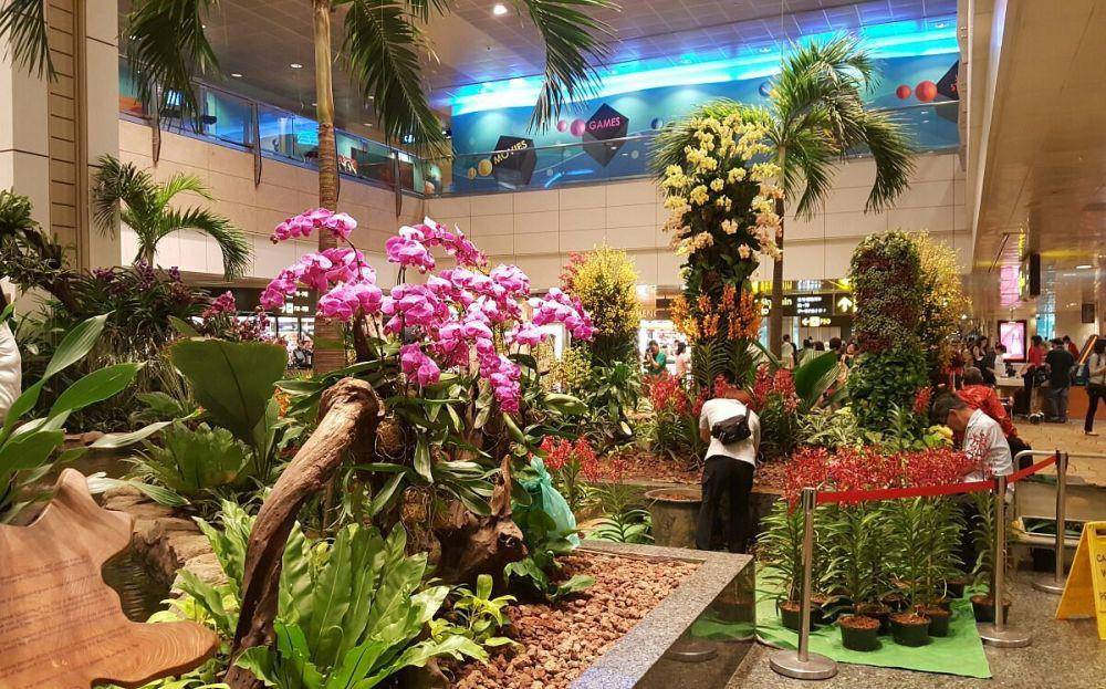 Orchid Garden & Koi Pond (tripadvisor.com)