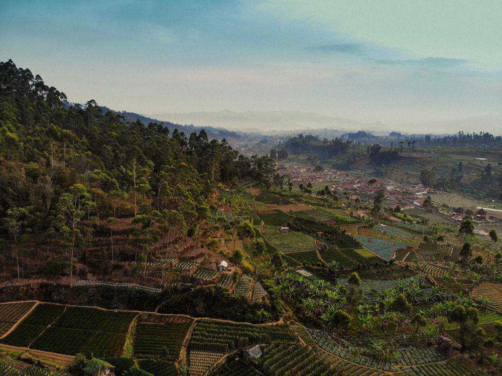 ilustrasi lembang bandung (unsplash.com/Afif Ramdhasuma)