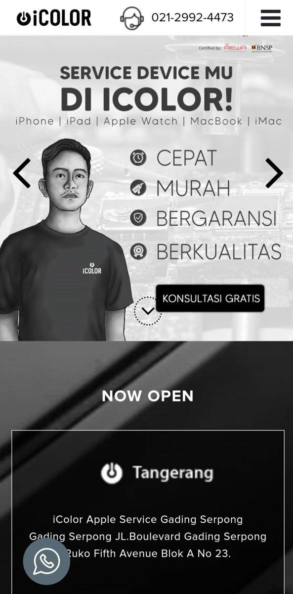 Bisnis di bidang jasa dari Gibran. (Dok/Screenshot Situs iColor))