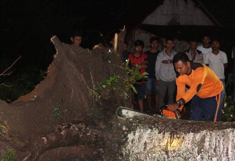 1 Keluarga di OKU Selatan Nyaris Tewas Saat Rumahnya Tertimpa Pohon
