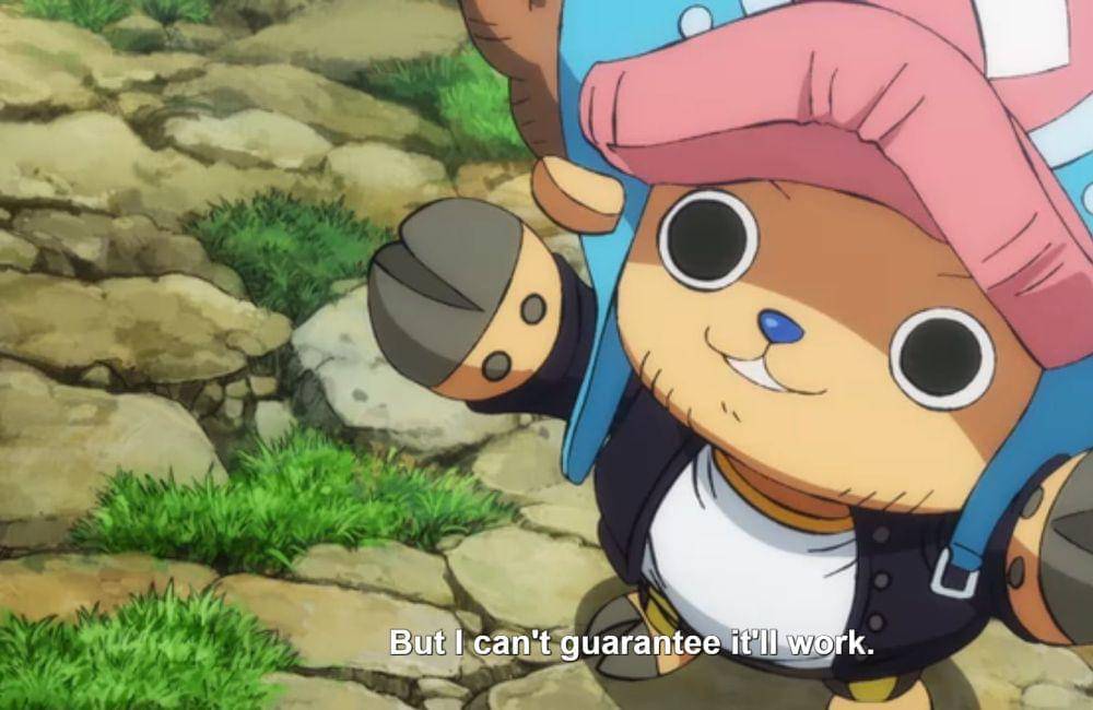 (Dok. Toei Animation/One Piece)