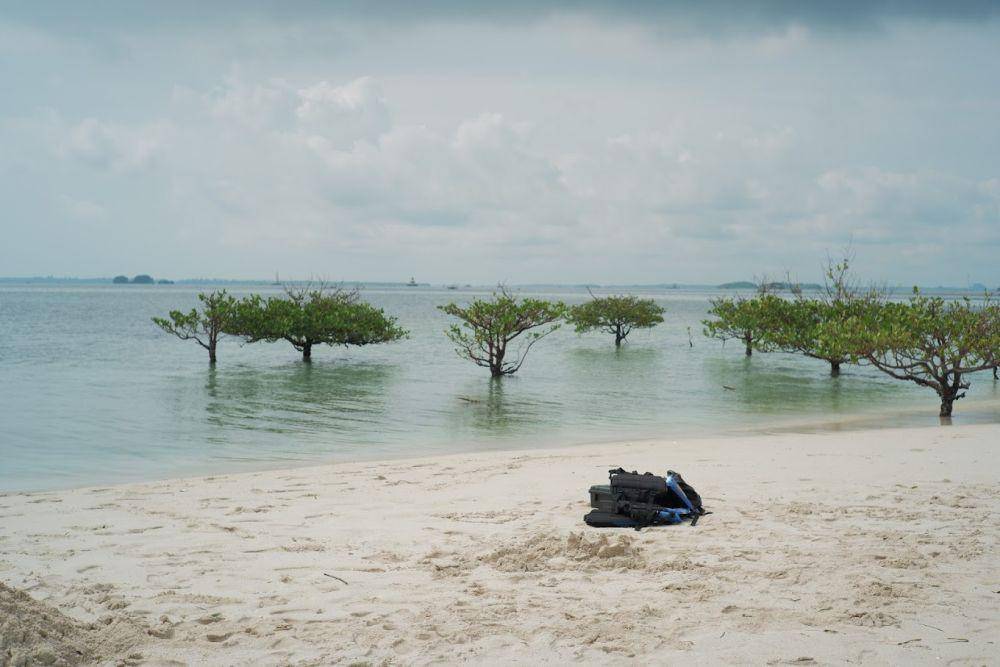 Pantai Segajah (google.com/Kaharuddin Syah)