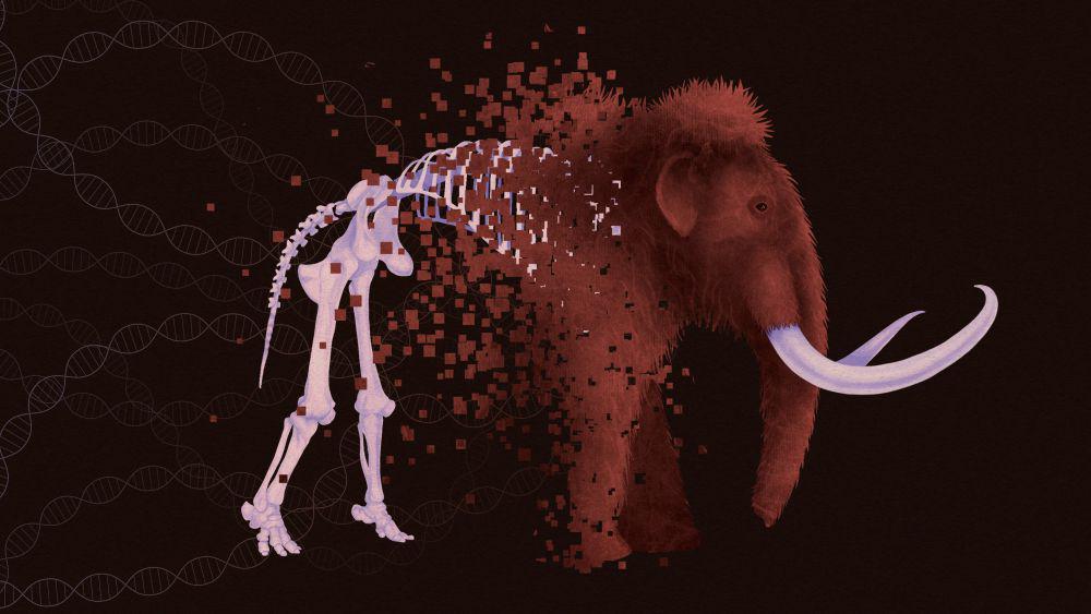 Mengenal De-Extinction, Menghidupkan Kembali Spesies yang Sudah Punah