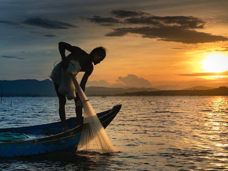 ilustrasi manusia menjala ikan (pexels.com/Quang Nguyen Vinh)