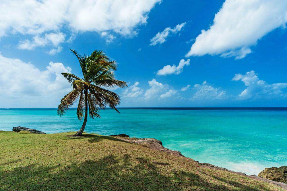 Potret pemandangan pantai di Horseshoe Bay, Bermuda. (unsplash.com/Tom Jur)