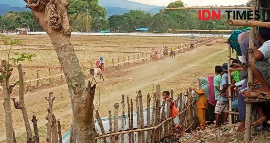 Dua Joki Cilik Terjatuh, Ketua Pordasi Bima: Balapan Tetap Dilanjutkan