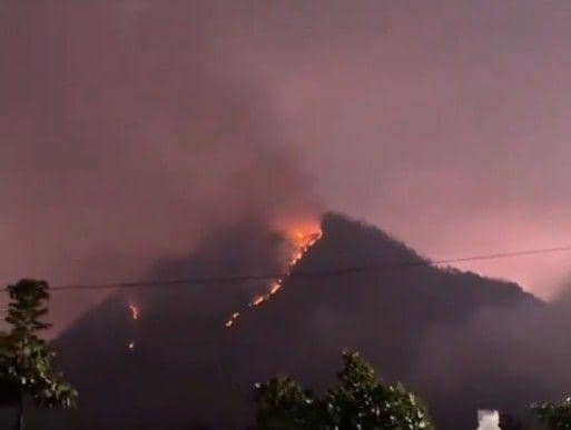 Gunung Panderman Kota Batu Kebakaran, Diduga karena Sambaran Petir